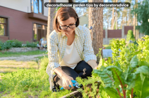 decoradhouse garden tips by decoratoradvice