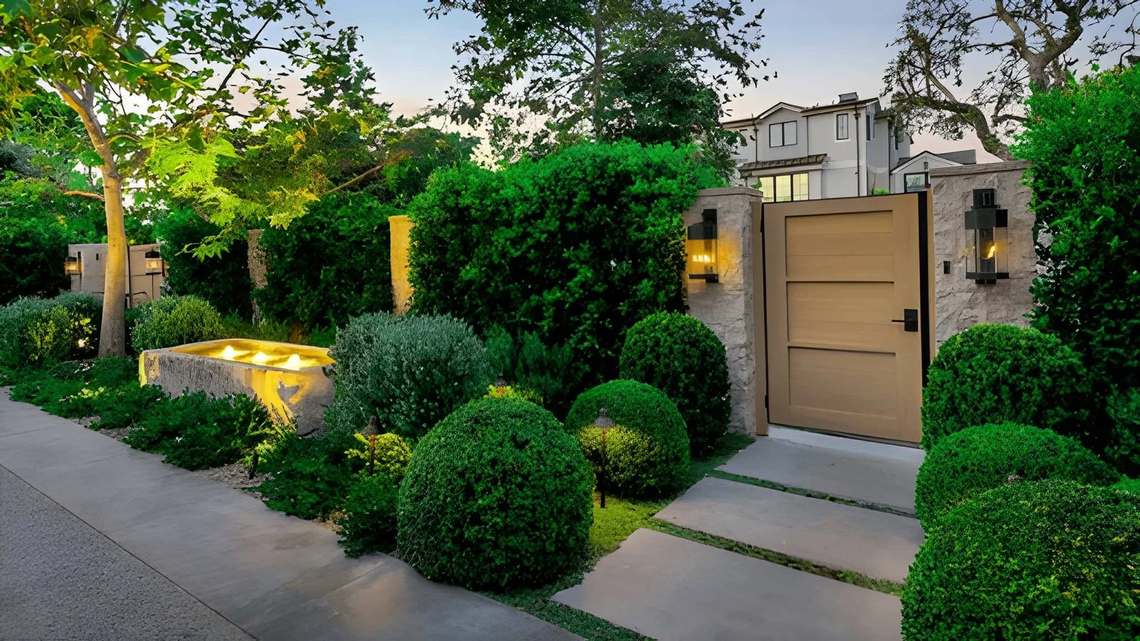 From Messy to Magnificent Yard Guide