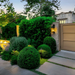 From Messy to Magnificent Yard Guide